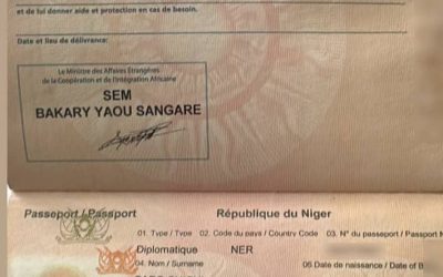 Le Niger octroie un passeport diplomatique à Kemi Seba