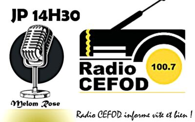 Flash info du 13 novembre 2025 (par Mornon Justine)