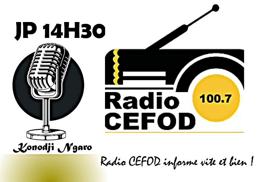 JP 14h30 lundi 20 octobre 2025 (Par Konodji Ngaro)